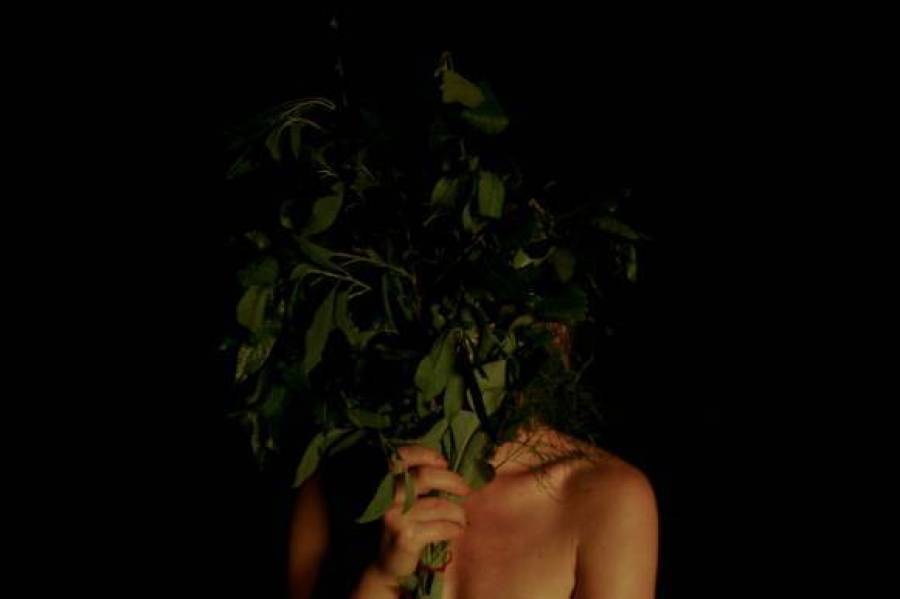 womanholding birch leaves infront of face